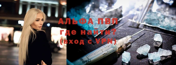 ГАЛЛЮЦИНОГЕННЫЕ ГРИБЫ Гусев