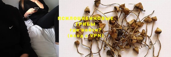 хмурый Гусь-Хрустальный