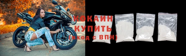 хмурый Гусь-Хрустальный