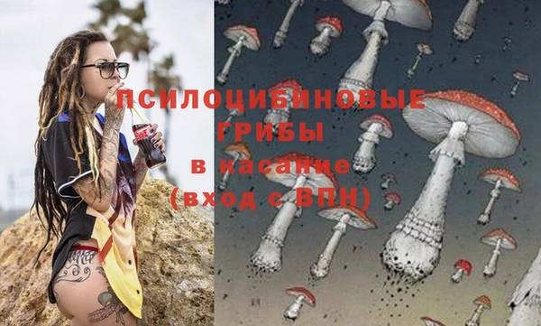 каннабис Гусиноозёрск