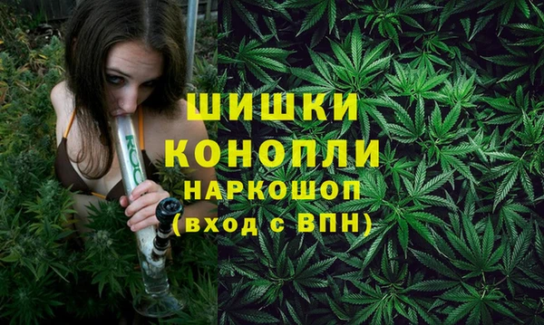 ГАЛЛЮЦИНОГЕННЫЕ ГРИБЫ Гусев