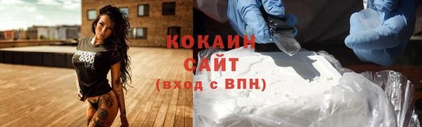 хмурый Гусь-Хрустальный