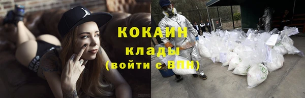 ГАЛЛЮЦИНОГЕННЫЕ ГРИБЫ Гусев