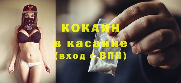 ГАЛЛЮЦИНОГЕННЫЕ ГРИБЫ Гусев