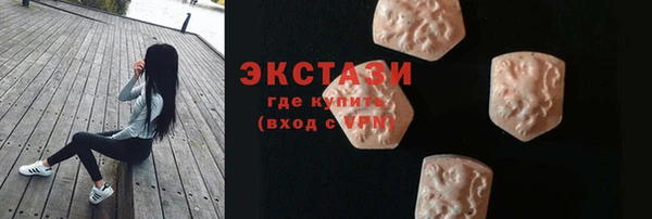 хмурый Гусь-Хрустальный