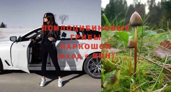 каннабис Гусиноозёрск