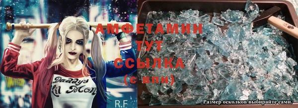 хмурый Гусь-Хрустальный