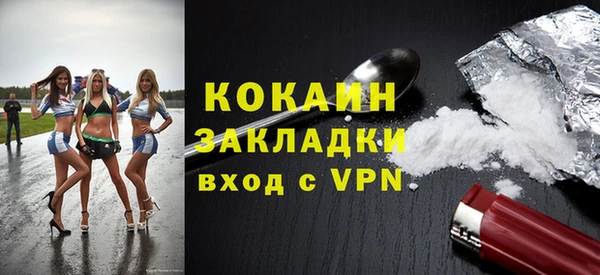 хмурый Гусь-Хрустальный