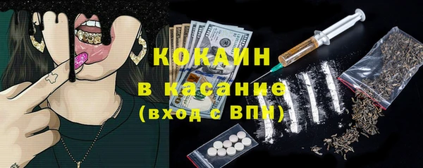 хмурый Гусь-Хрустальный