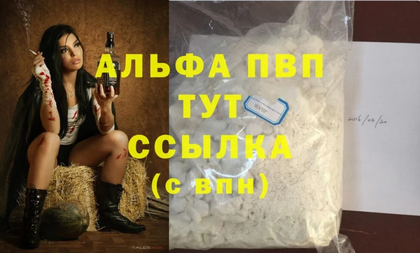 хмурый Гусь-Хрустальный