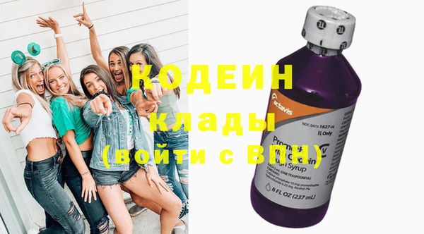 ГАЛЛЮЦИНОГЕННЫЕ ГРИБЫ Гусев