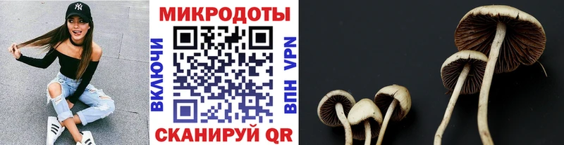 Галлюциногенные грибы прущие грибы  omg зеркало  Коломна  продажа наркотиков 